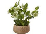 Hill Interiors - Pianta Artificiale In Vaso HI5002 (41 Cm X 33 Cm X 38 Cm) (Verde/Blu-Verde)