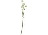 Hill Interiors - Fiore Artificiale Spray HI5015 (64 Cm) (Colore Crema)