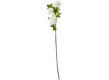Hill Interiors - Fiore Artificiale Spray HI5014 (77 Cm) (Colore Crema)