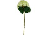 Hill Interiors - Fiore Artificiale HI4839 (Taglia Unica) (Verde)