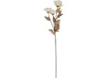 Hill Interiors - Fiore Artificiale HI4991 (Taglia Unica) (Bianco)