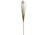 Hill Interiors - Fiore Artificiale HI4993 (Taglia Unica) (Colore Crema)
