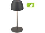 Briloner Serina Mini Lampada Da Tavolo Led Senza Fili IP44, Dimmerabile, Touch, Protezione Dagli Spruzzi D'acqua, Batteria Ricaricabile, Antracite, Ø8 X 20 Cm