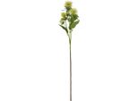 Hill Interiors - Fiore Artificiale HI5060 (Taglia Unica) (Verde)