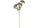 Hill Interiors - Fiore Artificiale HI5062 (Taglia Unica) (Viola)
