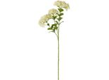 Hill Interiors - Fiore Artificiale HI5062 (Taglia Unica) (Colore Crema)