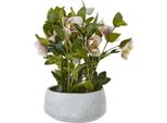 Hill Interiors - Pianta Artificiale In Vaso HI5076 (Taglia Unica) (Rosa)