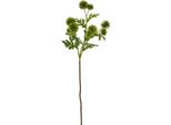 Hill Interiors - Fiore Artificiale HI5055 (Taglia Unica) (Verde)
