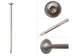 Viti A Testa Bombata A2 In Acciaio Inox 8 X 160 Mm Torx 40 - Confezione Da 50 Pezzi