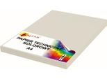 Carta Tecnica A4 160G Grigio 50 Fogli