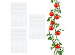 3.10 Bastoni A Spirale Per Pomodori In Un Set Da 60 - 110 Cm Ciascuno - Bastone Zincato Per Piante Da Giardino (6X 10 Pezzi)