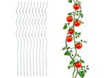 3.10 Picchetti A Spirale Per Pomodori In Set Da 10 - 110 Cm Ciascuno - Picchetti Zincati Per Piante Da Giardino