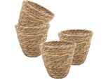 3.06 Cestino In Seagrass Rivestito Di Pellicola - Set Di 4 / Ciascuno Circa 14X12 Cm - Cestini Per Piante Piccole (Piccolo / 4)