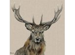 Jane Bannon - Stampa Su Tela "Percival"" PM11803 (40,5 Cm X 4 Cm X 40,5 Cm) (Beige/Brown)"