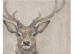 Bev Davies - Leinwanddruck "Serene Majesty"" PM11813 (80 Cm X 60 Cm) (Beige)"