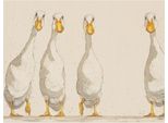 Bev Davies - Leinwanddruck "Nice Weather For Ducks"" PM11814 (40 Cm X 30 Cm) (Beige/Arancione)"