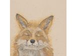 Bev Davies - Stampa Su Tela "Zen Fox"" PM11812 (40 Cm X 40 Cm) (Arancione)"