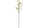 Hill Interiors - Fiore Artificiale HI5068 (Taglia Unica) (Verde)