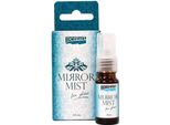 Pentart Vernice Effetto Specchio - Spray - Per Vetro - 9 Ml