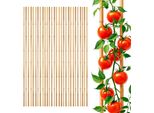 Bastone Da Piantagione In Bambù 105 Cm X 8-10 Mm - Set Di 30 - Bastone Da Piantagione In Bambù A Traliccio Bastone Tonkin (3X 10 Pezzi)
