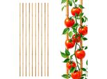 3.04 Bastone Da Piantagione Bastone Di Bambù 105 Cm X 8-10 Mm - Set Di 10 - Traliccio Di Bambù Bastone Da Piantagione Bastone Tonkin