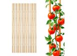 Bastone Da Piantagione In Bambù 105 Cm X 8-10 Mm - Set Di 20 - Bastone Da Piantagione In Bambù A Traliccio Bastone Tonkin (2X 10 Pezzi)