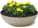 Fioriera Rotonda Bulbosa Da 30 Cm Per Esterni, Beige Champagne