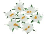 Stelle Di Natale Fiori Di Carta Di Mirtillo - Bianco 25 Mm/25 Pz.