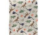 Jurassic Park - Coperta, Stampata Su Tutto Il Perimetro TV19169 (Taglia Unica) (A Colori)
