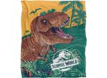Jurassic Park - Coperta, "T-Rex"" TV19170 (Taglia Unica) (Colorato)"