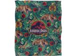 Jurassic Park - Coperta, Tropical TV19171 (Taglia Unica) (Colorato)