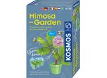 Kosmos Mimosen-Garten / Mimosa Garden Int, Experimentierkasten, Experimente, Kinder, Ab 6 Jahren, 617509