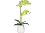 Orchidea Artificiale Phalaenopsis Verde 50Cm In Vaso Di Ceramica Bianca 9X11Cm Real Touch