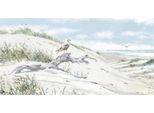 Richard Macneil - Leinwanddruck "Driftwood"" PM11910 (30 Cm X 60 Cm) (Bunt)"
