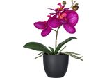 Set Di 4 Orchidee Artificiali Phalaenopsis Rosa 23 Cm Con Vaso Piccolo 8X7 Cm, Piante Decorative Di Lunga Durata