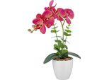 Set Di 2 Piante Artificiali Di Phalaenopsis 40 Cm Real Touch Rosa-Beige In Un Vaso Di Melamina Bianco 9X9 Cm