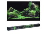 Acquario Fish Tank Fondale Acqua Erba Sfondo Decorazione Pittura Adesivo PVC91 X 50 Cm