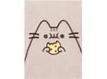 Pusheen - Taccuino "Playful"", Peluche, A5 PM11988 (22,5 Cm X 16,5 Cm X 2,3 Cm) (Grigio/Bianco)"