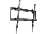 Stell SHO5410 Supporto Tv A Inclinazione Fissa 37"-80"", 75Kg"