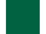 Folia 67/25 58 Folia Tonpapier, (B)500 X (H)700 Mm, 130 G/Qm, TannengrüN