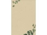Sigel DP615 Sigel Design-Papier "Eucalyptus"", Din A4, 100 G/Qm"