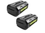Batteria Ricaricabile, Compatibilità 40V Con Gli Elettroutensili, Alta Capacità 6000Mah, 2