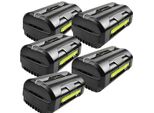 Batteria Ricaricabile, Compatibilità Con Gli Elettroutensili Da 40V, Alta Capacità 6000Mah, 5