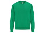 Fruties Felpa Da Uomo Con Cappuccio Senza Chiusura Nexh Retro Verde Erica S
