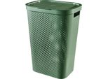 Curver Infinity Dots 60L Cesto Per La Biancheria Verde
