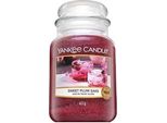 Candela Profumata Yankee Candle Sweet Plum Sake 623 G