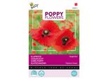 Semi Di Papavero Rosso Buzzy - Circa 1 Gr | Buzzy_080853