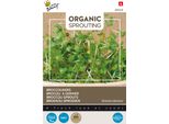 Broccoli Germogliati Biologici Buzzy - Semi Biologici - Circa 20 Gr | Buzzy_084048
