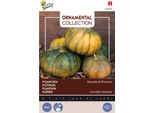Buzzy Semi Di Calabash Ornamentale MusquéE De Provence - Circa 1,5 Gr | Buzzy_029695