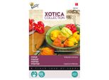 Buzzy Xotica Pepe Habanero Mix Semi - Circa 0,5 Gr | Buzzy_080465